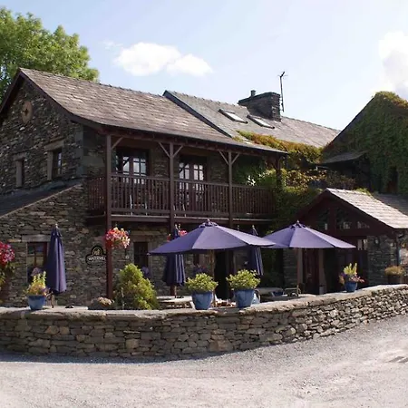 Yew Tree
